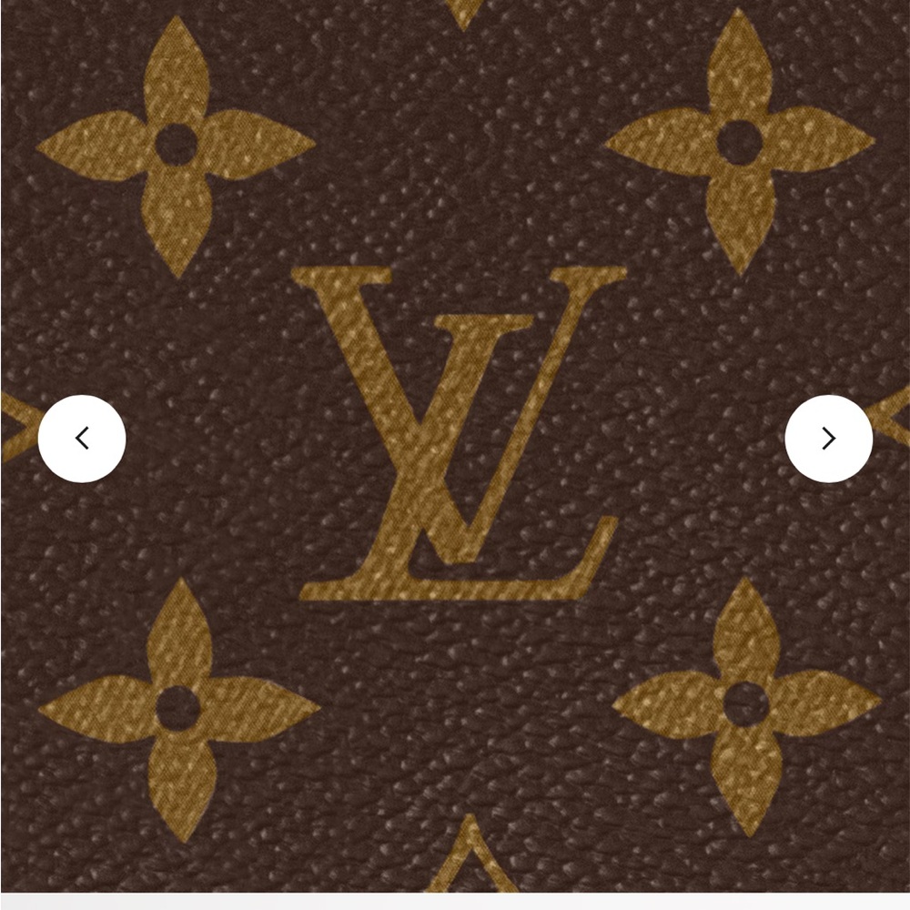 Louis Vuitton Petit Sac Plat bag - Picture 6 of 10